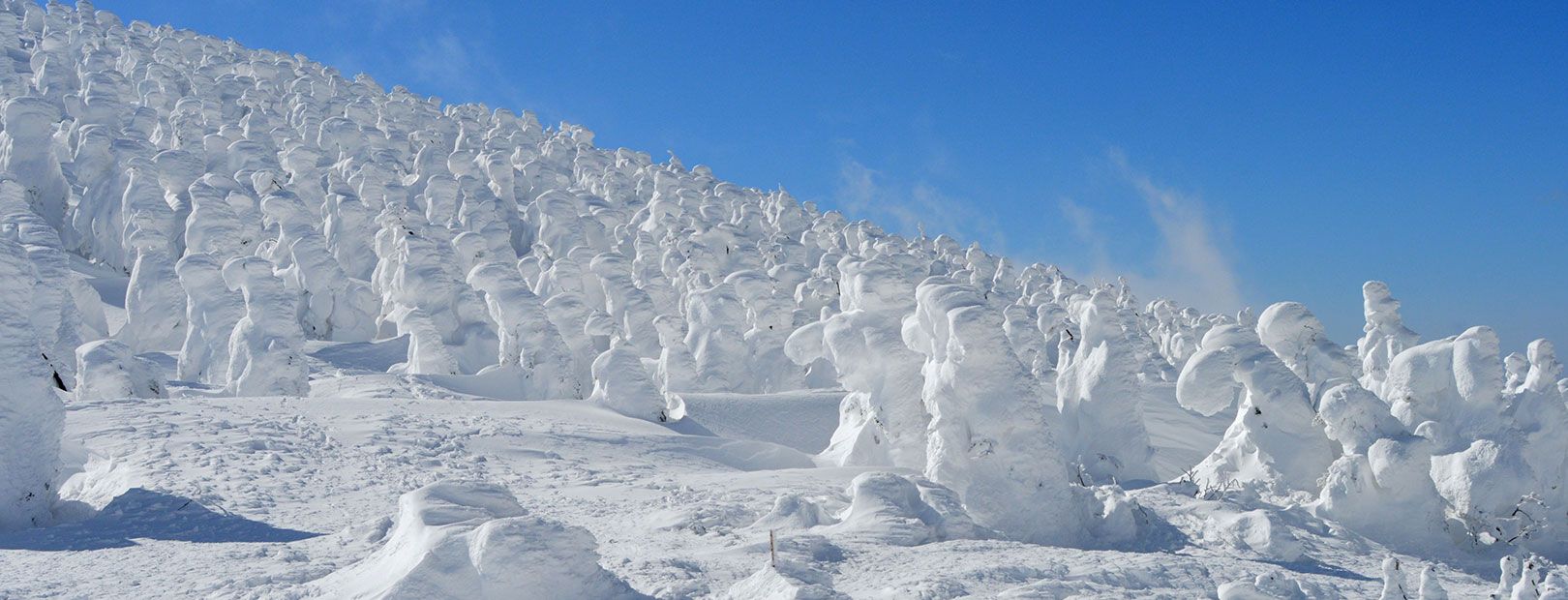 Head to the slopes!