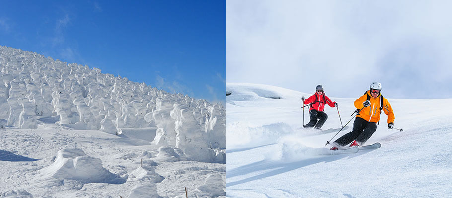 蔵王、冬の風物詩”樹氷” 雪で覆われた木々の絶景。